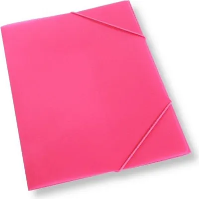 Obrázek produktu pro Růžová plastová složka formátu A4 s gumičkou – Penword