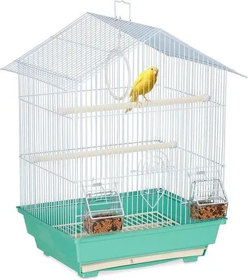 Image de Mangeoire pour oiseaux : Cage compacte pour canaris, pinsons et autres petits oiseaux - en vert menthe