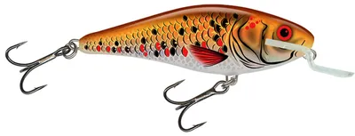 Produktbild von Salmo Executor Wobbler Shallow Runner Holo Golden Back 12cm