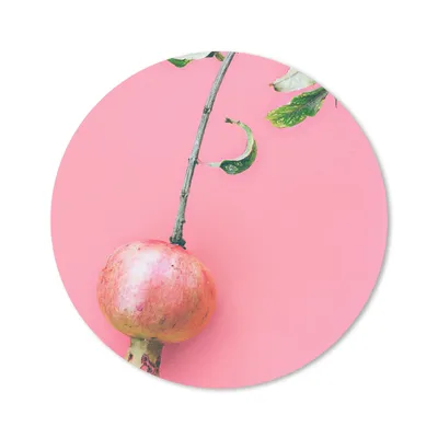Produktbild von MuchoWow® Mauspad Mousepad Pflanzen - Sommer - Rosa 20x20 cm - Mousepads - Maus Mat - Pad - Mausunterlage - Schreibtischmatte