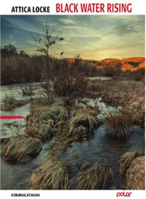 Image de Black Water Rising