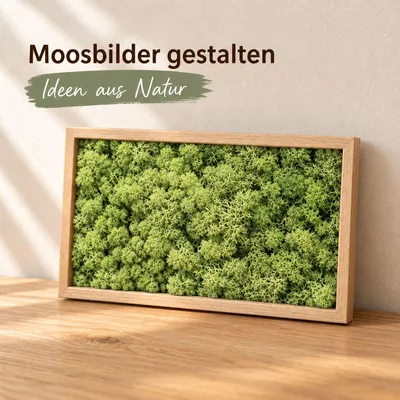 Produktbild von Islandmoos 500 g in über 30 Farben, konservierte Rentierflechte Deko Basteln, Farbe:Waldgrün
