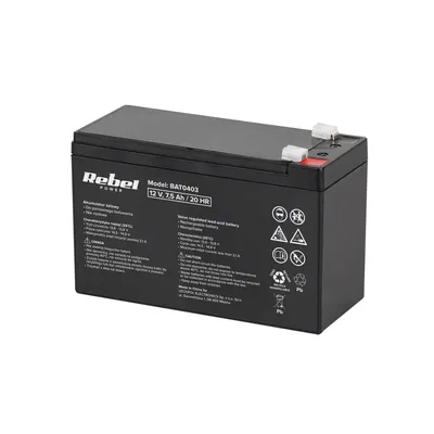A black battery with white text and logos on a white background.