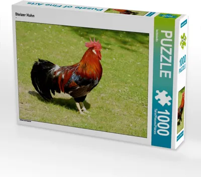 Produktbild von Calvendo Stolzer Hahn 1000 Teile Puzzle quer 640x480mm, CALVENDO; 7305518