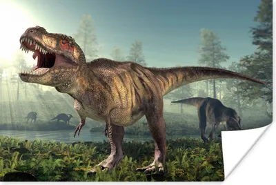 Produktbild von MuchoWow® Poster Dino - Gras - Zeichnung - Kinder - Jungen 120x80 cm - Bilder