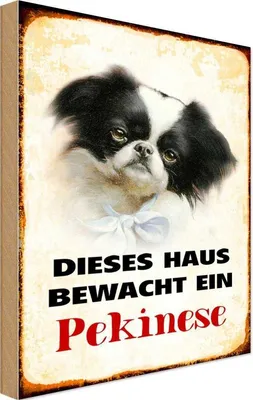 Produktbild von vianmo Holzschild 18x12 cm Hund dieses Haus bewacht ein Pekinese Tier Haustier
