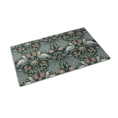 Obrázek produktu pro Rohožka před dveře - Podložka na zachytávání nečistot- Protiskluzová vnitřní venkovní rohožka - 60x40 cm - Ptáci Rostliny