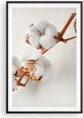Produktbild von Gerahmtes Poster - Schwarzer Rahmen - Baumwolle Makro Zweig - 61x91,5 cm - Wand Bild - Wanddeko - Wandbilder - Kunstposter - Wandposter - Bilderrahmen - Bilder - Kunstdruck - P2BPA61x91-4835