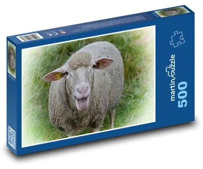 Zdjęcie produktu dla Puzzle 500 Szczęśliwa owca na łące - martinpuzzle