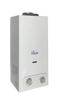 Image de TTulpe® Indoor B-6 P37 Eco, Chauffe-eau instantané au propane avec allumage par batterie, faibles émissions de NOx