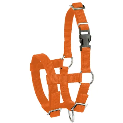 Obrázok produktu pre Kerbl Alpaka-Halfter nastaviteľný, oranžový, 20 mm - 27190