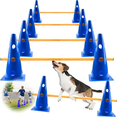 Agility-Hürden-Set, 12-teilig, 5 Stangen, 80 cm, Höhe bis 23 cm, blau