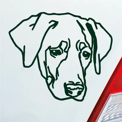 Produktbild von Auto Aufkleber Labrador Labi Labbi Hund Dog 12x10 cm Dunkelgrün Sticker Heckscheibenaufkleber