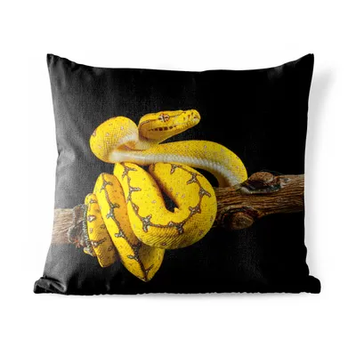 Obrázek produktu pro MuchoWow® Vnější polštář - Had - větev - žlutá -40x40 cm- Odolnost proti povětrnostním vlivům - polštář do obývacího pokoje