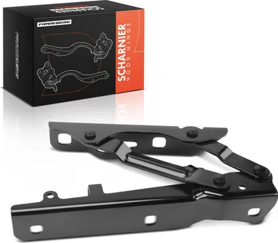 Image de Frankberg 1x charnière capot côté passager pour Tesla Model S 5YJS 85 2012-2016