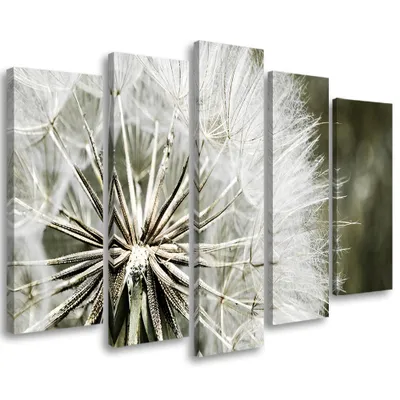 Image de Tableau en toile 5 pièces « Fleurs blanches » 200 x 100 cm Feeby Tableau blanc prêt à accrocher