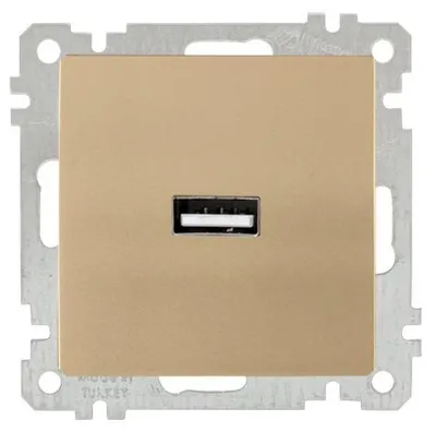 Produktbild von 1-fach USB-Steckdose mit Ladefunktion Gold Optik – Unterputz IP20 – CANDELA