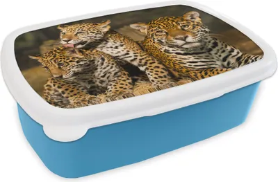Obrázek produktu pro KitchenYeah® Lunchbox Lunchbox 17x11 cm Leopard - Divoká zvířata - Příroda Dětský svačinový box - Oběd - Plastový - Chlebník - Sendvičový box - Obědový box pro děti