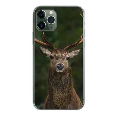 Produktbild von MuchoWow® Handyhülle Schutzhülle Hülle für iPhone 11 Pro Hirsch - Geweih - Natur Silikon Softcase Handy Hülle - Handy