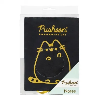 Obrázok produktu pre Notatnik pluszowy A5 96 kartek Pusheen
