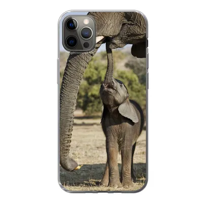 Produktbild von MuchoWow® Handyhülle Schutzhülle Hülle für iPhone 12 Pro Max Elefant - Tiere - Gras - Natur Silikon Softcase Handy Hülle - Hartschale