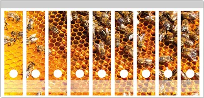 Produktbild von Wallario Ordnerrücken Sticker, selbstklebend für breite Ordner, 9 Stück, Motiv Honigwaben mit Bienen