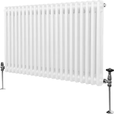 Immagine prodotto di Radiatore tradizionale a 2 colonne - 600 x 1012 mm - Bianco
