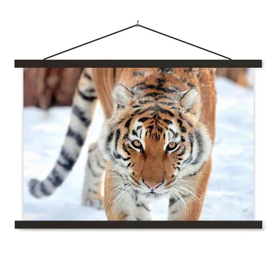 Produktbild von MuchoWow® Textilposter Tiger - Schnee - Tiere 60x40 cm mit schwarzem Rahmen - Hölzernes