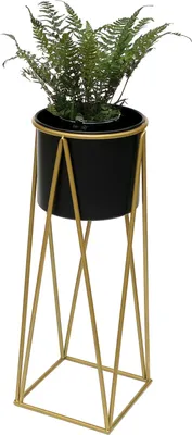 A potted fern sits in a black planter on a gold geometric stand against a white background.