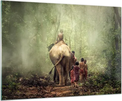 Produktbild von Bilder auf glas - Elefant Dschungel Nebel - 100x70cm - Glasbilder - Wandbilder - Kunstdruck - zum Aufhängen bereit - Wanddekoration aus Glas - Glas Bilder - Wandbild auf Glas - GAA100x70-3438