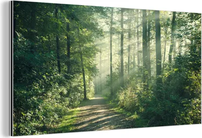 Produktbild von MuchoWow Wanddekoration Metall Metallbild Wandkunst 40x20 cm Wald - Weg - Sonne - Bäume - Grün - Natur MuchoWow Aluminium Gemälde - Bild - Aluminium