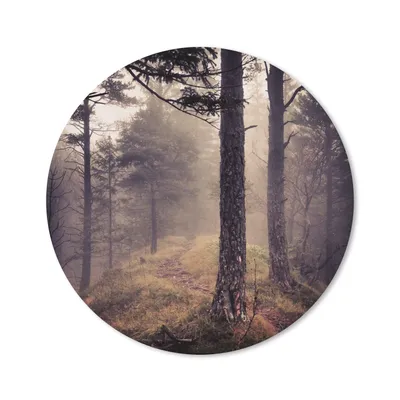 Produktbild von MuchoWow® Mauspad Mousepad Nebel - Herbstdekoration - Natur - Wald 20x20 cm - Mousepads - Maus Mat - Pad - Mausunterlage - Schreibtischmatte