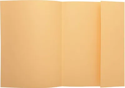Produktbild von EXACOMPTA Aktendeckel SUPER 250 DIN A4 chamois 50 Aktendeckel
