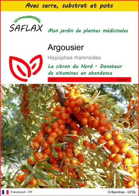 Image de SAFLAX Ensemble de culture - Argousier - 40 graines - Hippophae