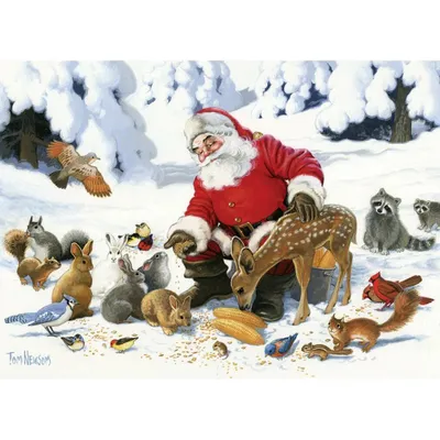 Produktbild von COBBLE HILL Familienpuzzle Weihnachtsmann mit Tierfreunden 350 Teile