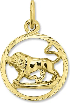 Produktbild von Anhänger Sternzeichen 333/- Gelbgold Löwe