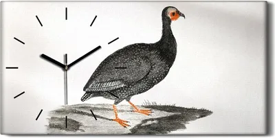 Produktbild von Wanduhr Uhr Wandbild Leinwand Geräuschlos 60x30 Zeichnung Tier Vogel Kunst - schwarze Hände