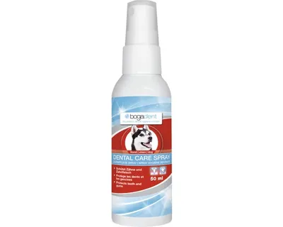 Produktbild von Mundspray bogadent Dental Care Spray, 50 ml