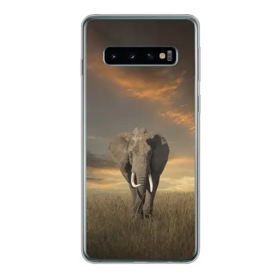 Produktbild von MuchoWow® Handyhülle Schutzhülle Hülle für Samsung Galaxy S10 Elefant - Tiere - Gras - Natur Silikon Softcase Handy Hülle - Handytasche