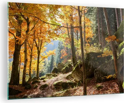 Produktbild von Bilder auf glas - Herbst berg wald natur - 70x50cm - Glasbilder - Wandbilder - Kunstdruck - zum Aufhängen bereit - Wanddekoration aus Glas - Glas Bilder - Wandbild auf Glas - Einteilig - GAA70x50-2713