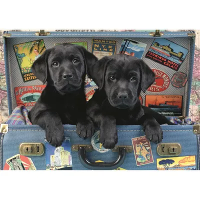 Image de Puzzle Chiots dans une valise 500 pièces