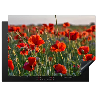 Produktbild von KitchenYeah© Herdabdeckplatte Mohnblumen - Rot - Grün - Blumen , 75x52cm, Küche Deko, Glaskeramikkochfeld Herdabdeckung, Abdeckplatte fùr Kochfeld