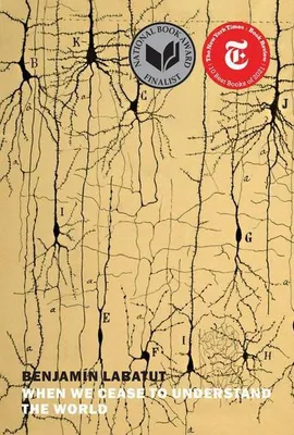 Image de When We Cease to Understand the World