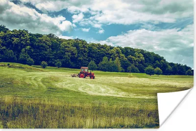 Produktbild von MuchoWow® Poster Traktor - Baum - Schilf 120x80 cm - Bilder