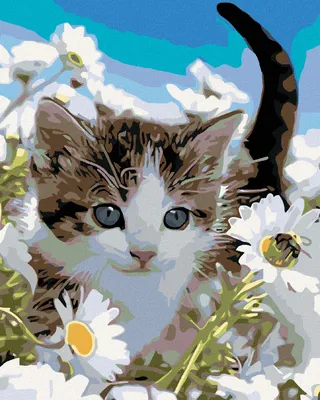 Produktbild von Diamondi - Diamond painting - KÄTZCHEN IN MARGERITEN, 40X50 cm, mit Keilrahmen (bereits gespannt)