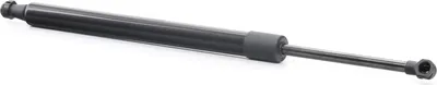 Produktbild von RIDEX 219G0889 Gasfeder Heckklappendämpfer für RENAULT 11 (B/C37) 431mm