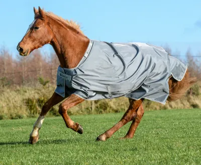 Produktbild von Bucas Smartex Turnout Medium Classic 150g - Iron Gate, 145