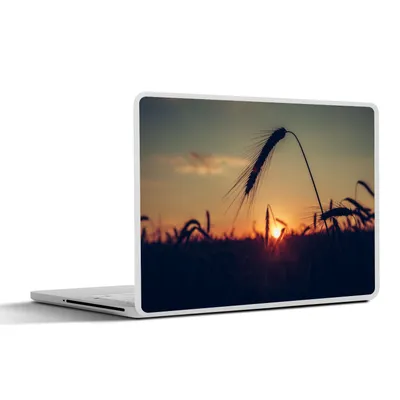 Produktbild von MuchoWow® Laptop Aufkleber Sticker Cover Gras - Herbst - Sonnenuntergang - Jahreszeiten - Landschaft 30x21 cm - Sticker für Laptop - Selbstklebend