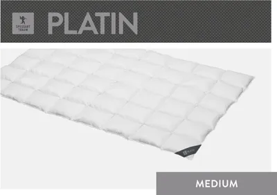 Produktbild von Spessarttraum Bettdecke Daunendecke Platin 240 x 220 cm Medium