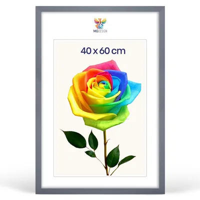 Produktbild von MG Design Bilderrahmen 40 x 60 cm - Posterrahmen mit Grau Holzrahmen (Echtholz) und bruchsicherem Acrylglas, Hoch & Quer mit stabiler Wandaufhängung